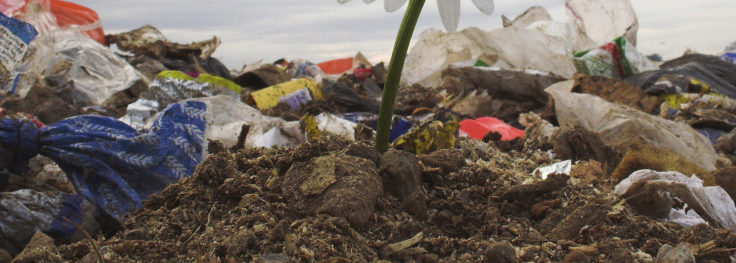 >Theoriebron 1: De relatie tussen planten en dieren en hun omgeving Onze natuur kun je indelen in een levende natuur en een niet levende natuur.