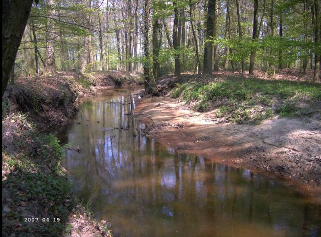 Natte invasieve exoten Waterlichamen Regge Voorbeeld: Ruenbergerbeek Ruenbergerbeek Ruenbergerbeek Ontstaan: natuurlijk Status Sterk veranderd Ambitienivo: hoog Type R5 Langzaam stromende middenloop/