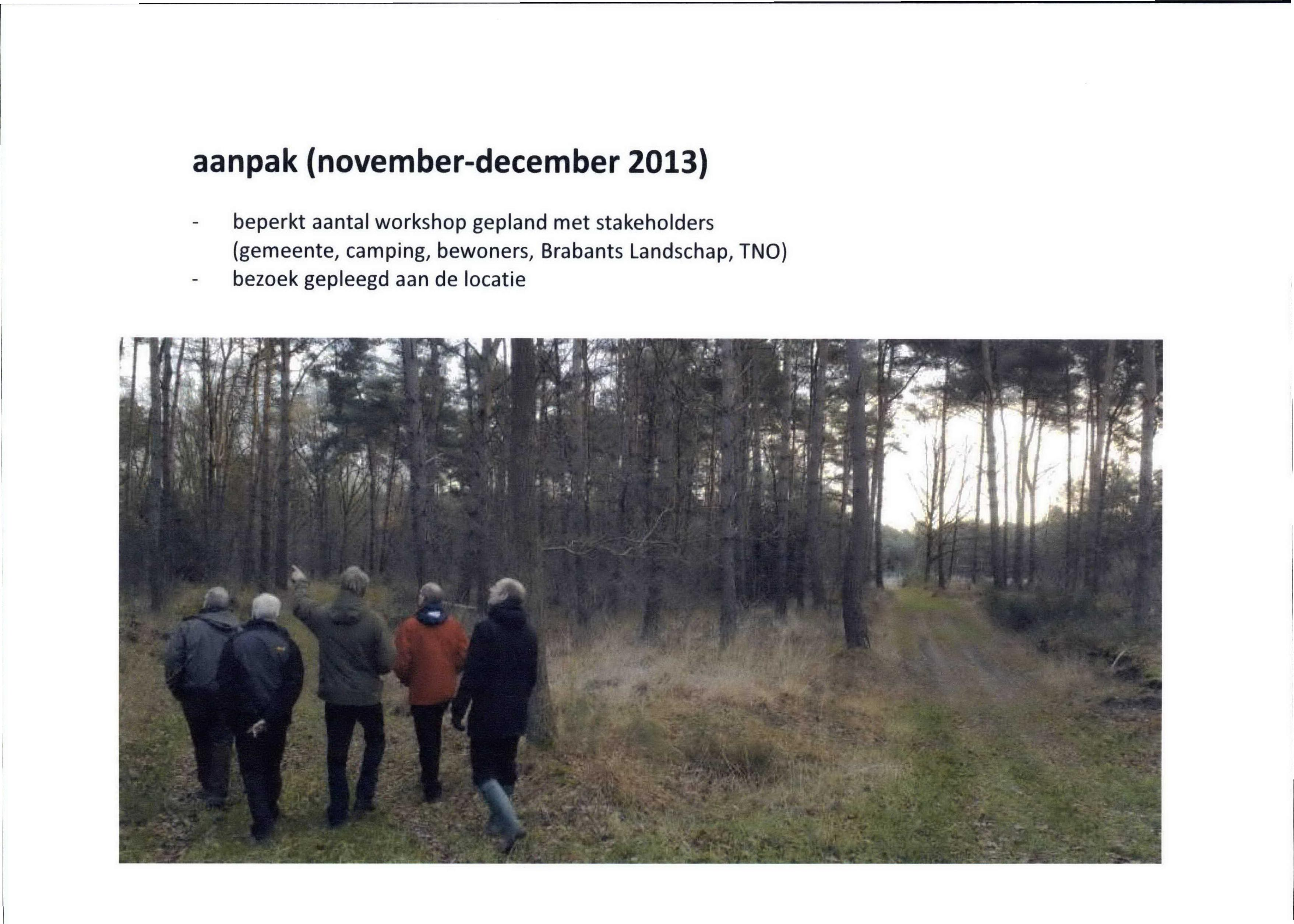 aanpak (november-december 2013) beperkt aantal workshop gepland met stakeholders