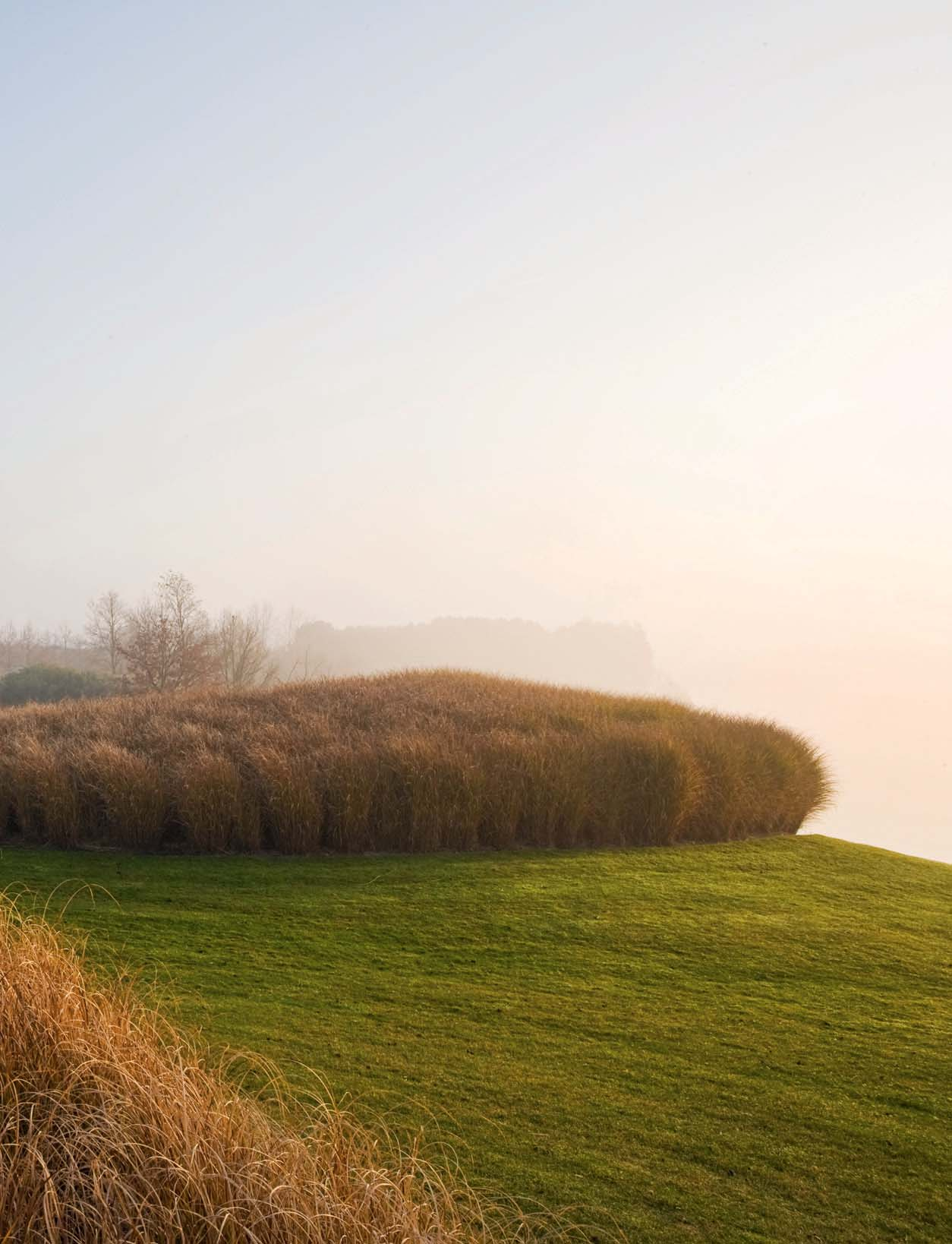 ZANDMANNETJESLAND In de Kempen werden de afgelopen decennia putten gegraven om er het allerwitste zand uit te halen.