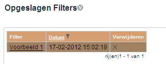 Nadat alle verplichte en gewenste velden ingevuld zijn, wordt van de input een rapport gedraaid na op de knop gedrukt te hebben. Een zoekvraag annuleren kan met Esc.