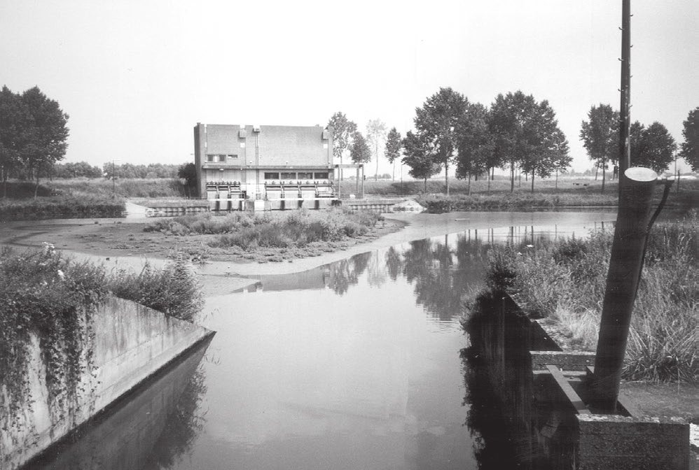 De paaiplaatsen moeten toelaten dat het visbestand weer op peil komt in het zeekanaal, want door de oeververstevigingen en de golfslag van het drukke waterverkeer vinden de vissen maar moeilijk