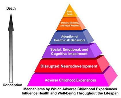 The REAL Common Denominator: Adverse Childhood Events & Trauma ACE Score = 1 point each for positive responses to 10 questions inquiring about exposure to: Physical abuse Emotional abuse