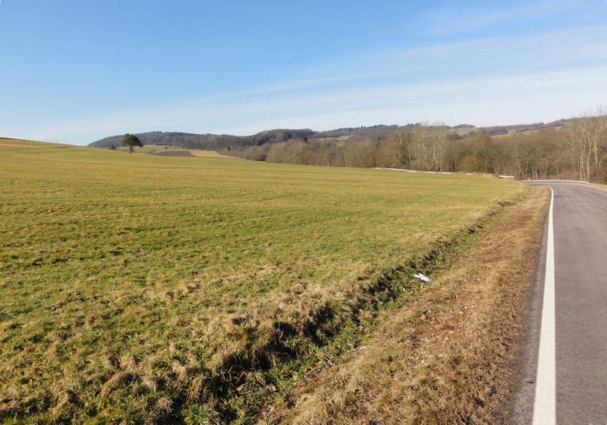 Woensdag 22 feb Besseringen - Saarhölzbach 21 km Laagste punt: 164 m Hoogste punt: 390 m Totale stijging: 480 m Totale daling: 480 m Weer: zonnig Deze morgen rijden we al vroeg naar het station van