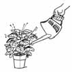 Een kamerplant verpotten Vul de pot voor de helft met verse aarde. Leg een potscherf op de bodem van de pot.
