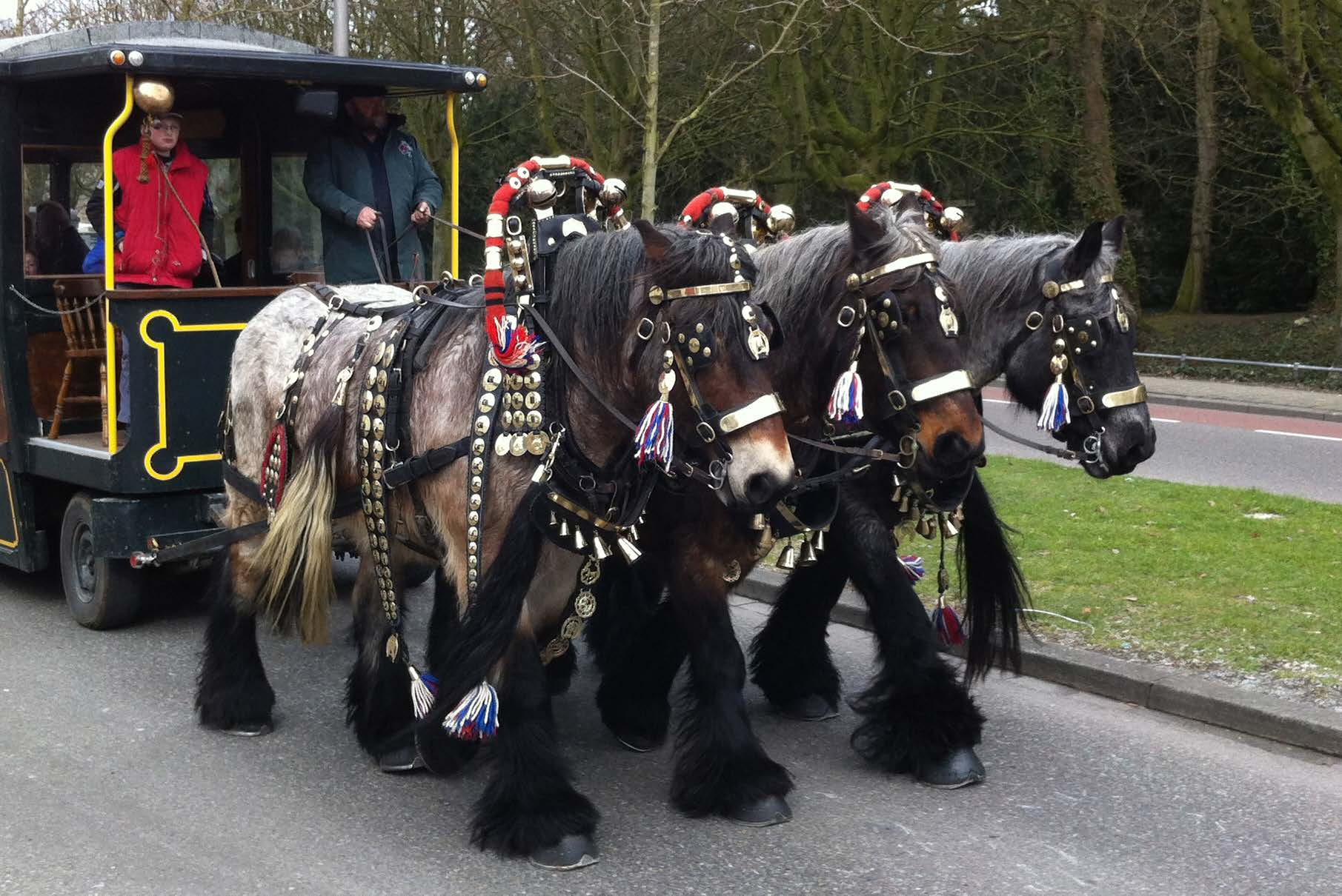 Paardenmarkt Jaarmarkt maart 3 4 5 Nationale Complimentendag Boekenweek 5 t/m 13 maart Internationale Vrouwendag NL Doet Internationale Historische Horneland Rally NL Doet Internationale Historische