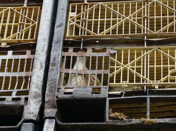 Stork De container is twee lades breed en vier lades hoog. De nieuwste containers zijn één lade breed, wij hebben deze nog niet in de praktijk gezien. Onderstaande gaat over de oudere containers.