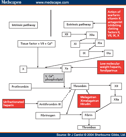 Werkingsmechanisme anticoagulantia