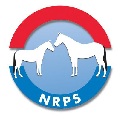Provinciale keuringen 2015 Nederlands Rijpaarden en Pony Stamboek De Beek 125a