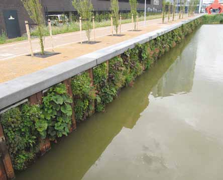 Projecten Groendak LENTmark1, Waalsprong Tuin Vaandelstraat Delft Opdrachtgever: Gemeente Nijmegen, NVOB Cultuurfonds Ontwerp: Studio Sluiter, adviseur groen: Geert Elemans Realisatie: GroeneSteden.