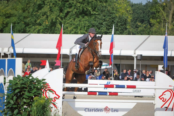 Daniël Zetterman heeft de achtjarige Glory Days (Cardento x Diamond Serpent) zelf gefokt en opgeleid.