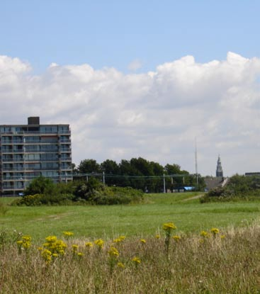 Centra Binnenstad Zoals aangegeven bestaat de binnenstad uit een gebied 300 meter rondom de Grote Kerk en enkele belangrijke historische structuren.