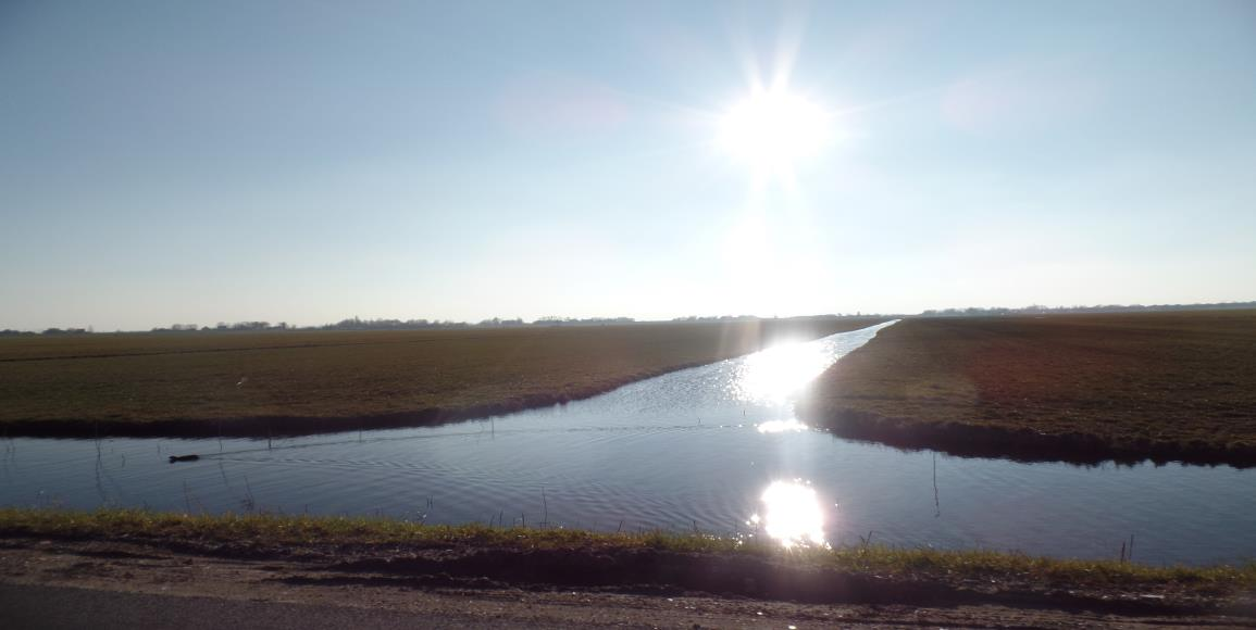 Instituut voor Natuureducatie en Duurzaamheid Jaarverslag 2015 IVN Alphen aan den Rijn Algemeen In 2015 bestond onze Alphense afdeling 40 jaar!