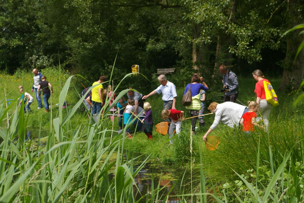 Excursies De publieke belangstelling en deelname aan excursies die de afdeling IVN Alphen aan den Rijn heeft georganiseerd in 2015 waren succesvol.