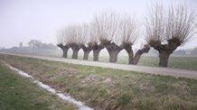 Achterhoek: verbinding tussen gemeenten en regio In de Achterhoek deelt men een bepaalde gemeenschappelijke cultuur en identiteit.