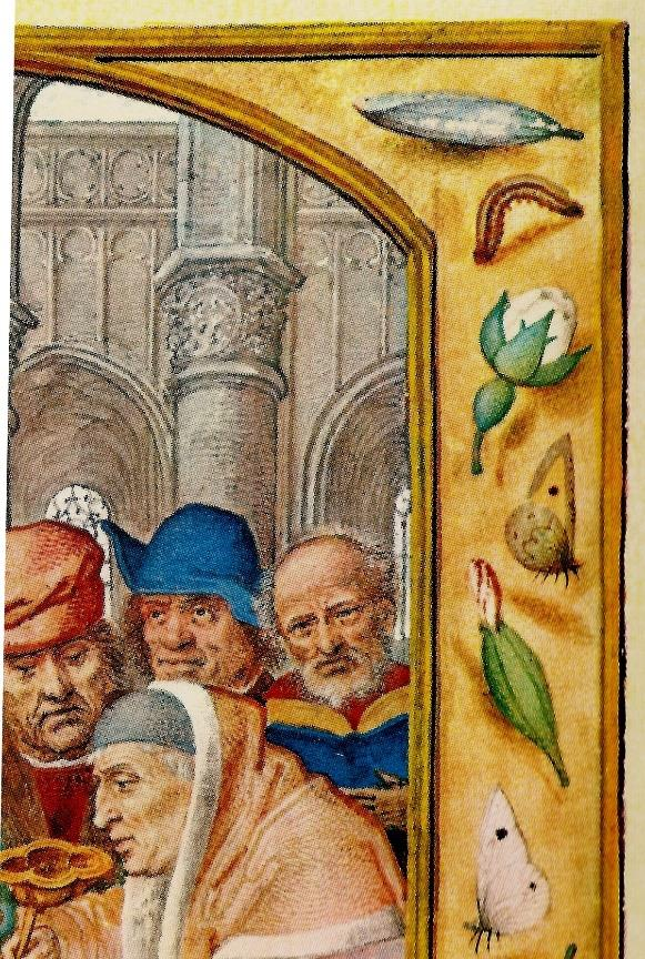 Bruinzandoogje-Koolwitje- rups en pop Grimani - Gerard Horenbout 1510-1520 Ongeveer tachtig jaar eerder, in ca.