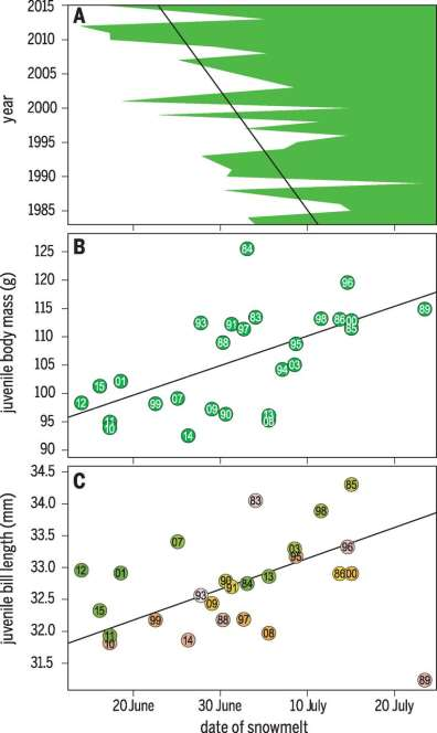 Van Gils et al.