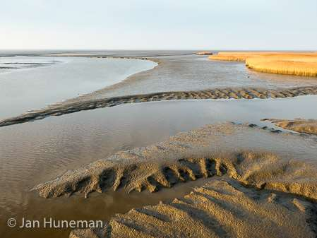 Werelderfgoed Waddenzee Duitsland + Nederland op 26/6/2009, Denemarken