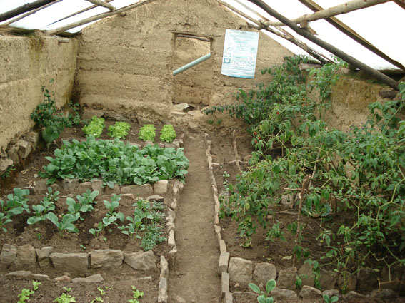 Enkele projecten van Chakana Waterreservoirs In de kleine gemeenschap Piñani, gelegen in het gebied ten oosten van het Titicacameer tegen de grens met Peru, wordt de landbouw - het belangrijkste