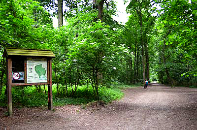 Groene St. Pieterswandeling te Jette Zondag 16 oktober 2016 Het Koning Boudewijnpark strekt zich van oost naar west uit over de Molenbeekvallei.