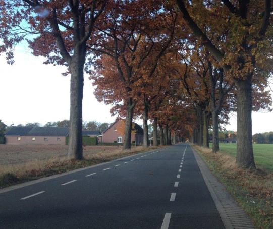 In bovenstaande figuur valt op dat bij de fietsslachtoffers een grote groep ouderen (60 jaar en ouder) betrokken is. Dat valt voor een deel te verklaren door de opmars van de electrische fiets.