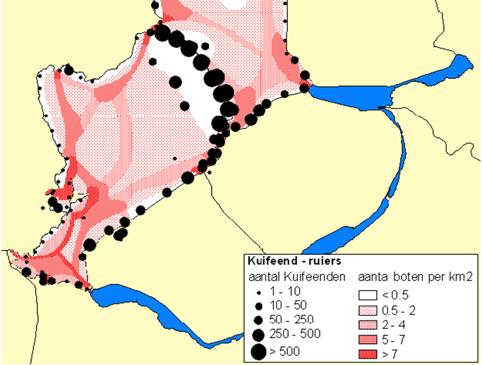 1112116 blz 73 - Overig (uitvaarpercentage 0,3 %): 1,2 extra vaarbewegingen. Deze vaarbewegingen voegen zich in de bestaande, gemarkeerde vaarroutes, die reeds decennialang in gebruik zijn.