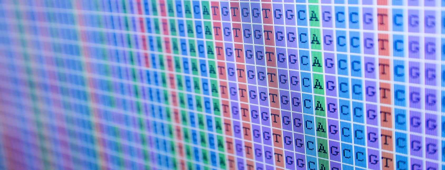 Genetica en erfelijkheid van Alport syndroom Arthur van den