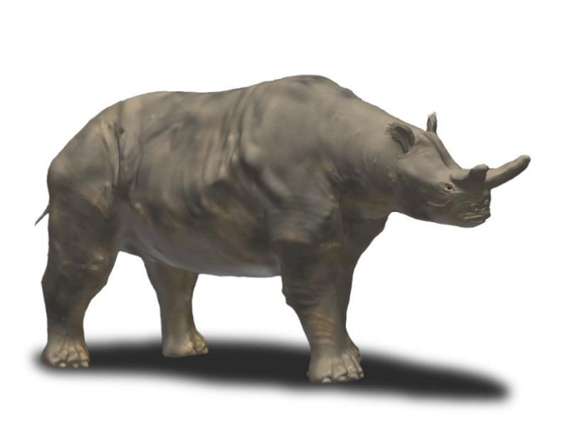 Oligoceen Azië, Indricotherium, grootste landzoogdier 8 meter hoog, 16