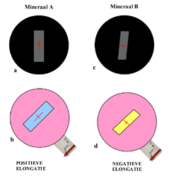Uitdoving en elongatie Een anisotroop mineraal tussen gekruiste polarisatoren zal bij volledig ronddraaien vier keer uitdoven.