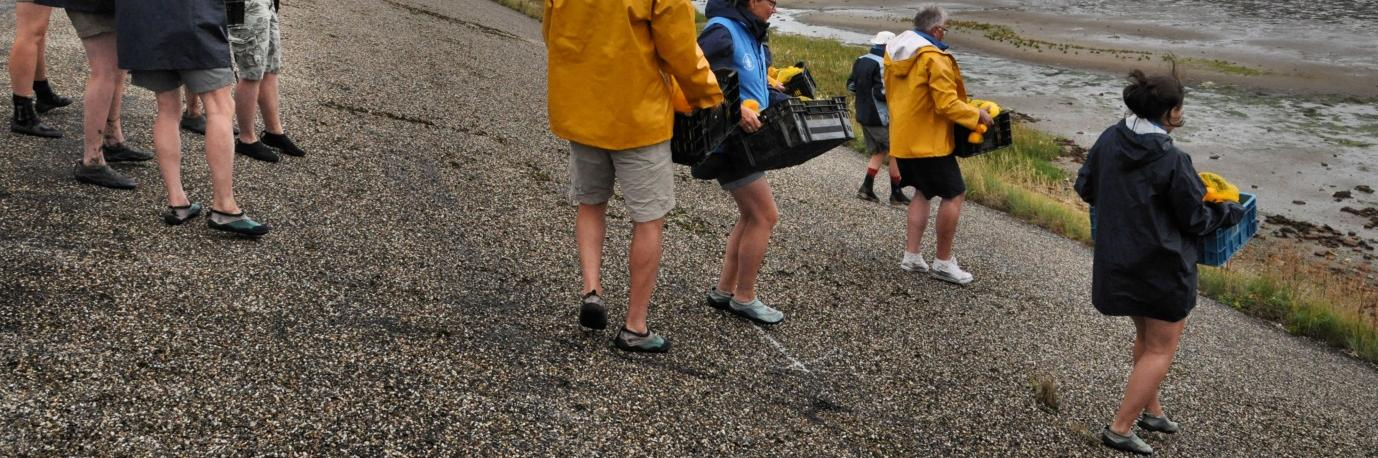 Figuur 2.9: Uitzaai tijdens laagwater bij Balgzand in 2012. 2.7 