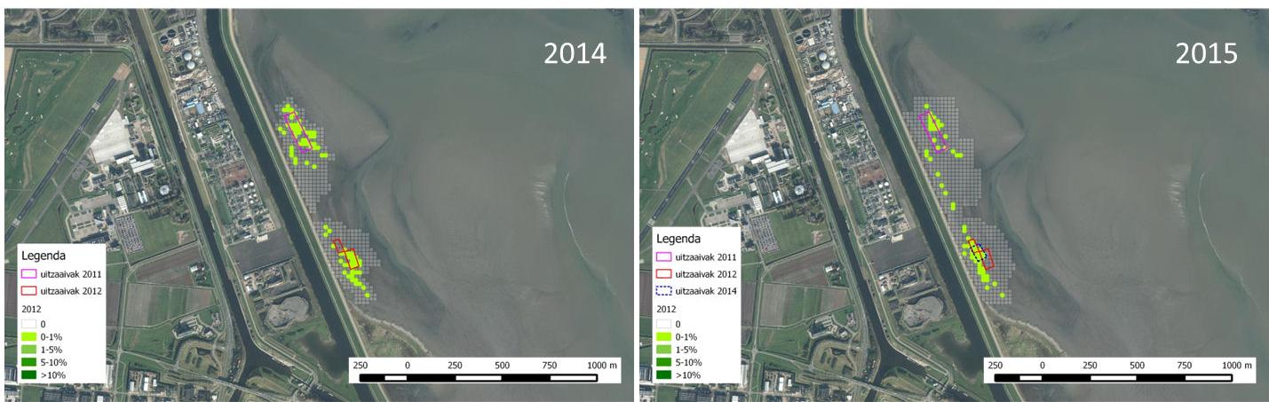 3 Resultaten 3.1 Balgzand 3.1.1 Verspreiding over de jaren Op het Balgzand kwam na de eerste uitzaai in 2011 een redelijke hoeveelheid zeegras op rondom de uitzaailocatie (Figuur 3.1).