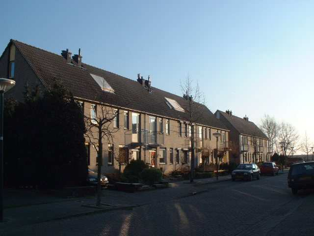 Ten zuiden van de Nieuweweg, tussen de Nieuweweg en de Prins Hendrikweg, zijn aan de Nachtegaal een aantal verschillende grotere vrijstaande woningen gesitueerd.