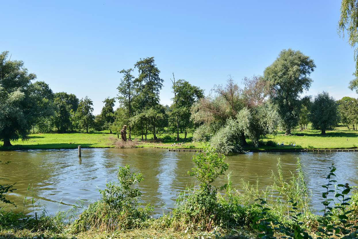 Dorp aan de Linge Gellicum is een dorpje met ongeveer 300 inwoners, dat direct aan rivier De Linge ligt. De eerste schriftelijke bronnen over Gellicum zijn meer dan duizend jaar oud.