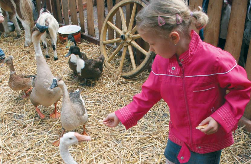 Een kinderboerderij behoort tot de mogelijkheden 18