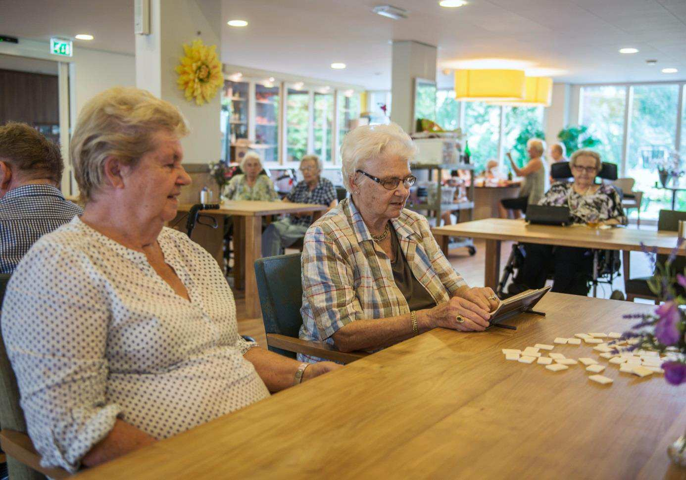 WEKELIJKSE ACTIVITEITEN MAANDAG Tien voor taal 11.00 12.00 uur Multifunctionele ruimte Houdt u van taal? En van taalspelletjes? Dan is de activiteit Tien voor taal echt iets voor u!