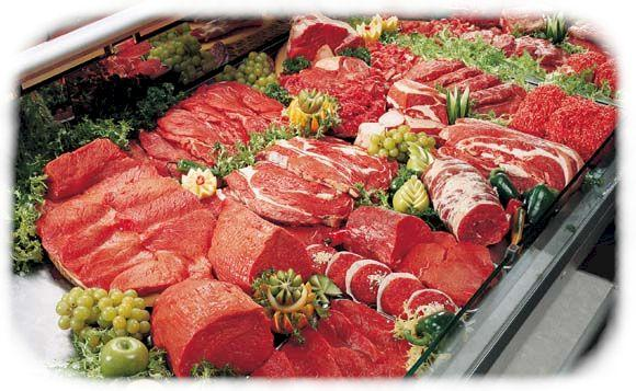 Voedingsmiddelen die veel eiwit bevatten: vlees/ vleeswaren vis wild/ gevogelte kaas melk en