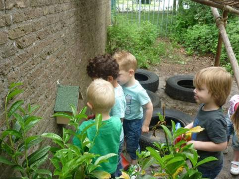 Zaaien bij PSZ Holder de Bolder We hebben gesproken over zaadjes en zaaien. Alle kinderen mochten een potje vullen met zand en met hun vingers een kuiltje maken om hier een zonnepit in te stoppen.