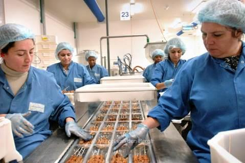Productiemedewerkers m/v (i.s.m. Stimulans) Werkzaamheden Wij zoeken productiemedewerkers voor een producent van snacks.