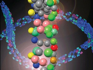 onvoorspelbare manieren. Systeem Biologie is de toepassing van dit idee dat alles met elkaar verbonden is, zo ook in ZvH onderzoek - van moleculen en cellen tot en met de ZvH gemeenschap.