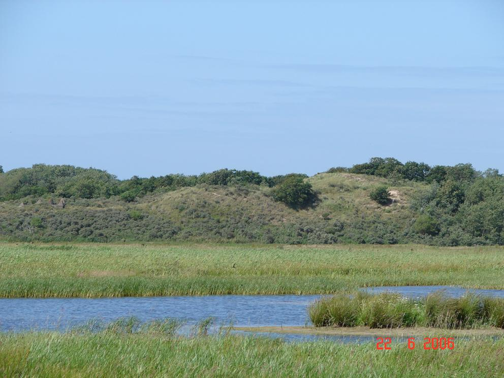 Verantwoordelijkheid voor natuur en landschap binnen de nieuwe Rijkskaders