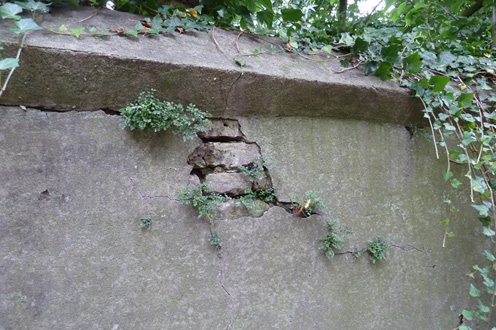 Potjes Pèdje, Boxmeer 6.1 Welke maatregelen stellen we voor?