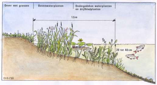 - Weltervijver te Heerlen - Meer informatie over de uit te zetten vissoorten en de, tijdens de visstandbemonstering, gevangen vissoorten is weergegeven in Bijlage II: Profielen van de gevangen