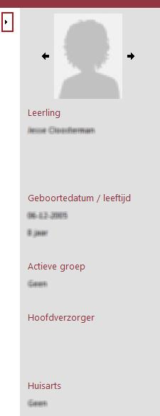 Te allen tijde wordt aan de rechterkant in het leerlingvenster de belangrijkste informatie over de leerling getoond. Dat zijn een foto en enkele minimale basis-, verzorger- en medische gegevens.