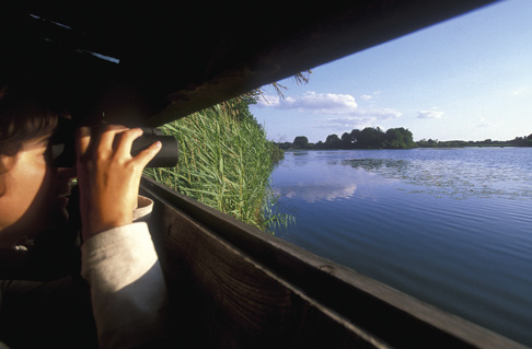 natuurverkenning.be. Natuurrapport 27 Het natuurrapport 27 geeft een overzicht van de toestand van de natuur in Vlaanderen in 16 hoofdstukken (36 p.).