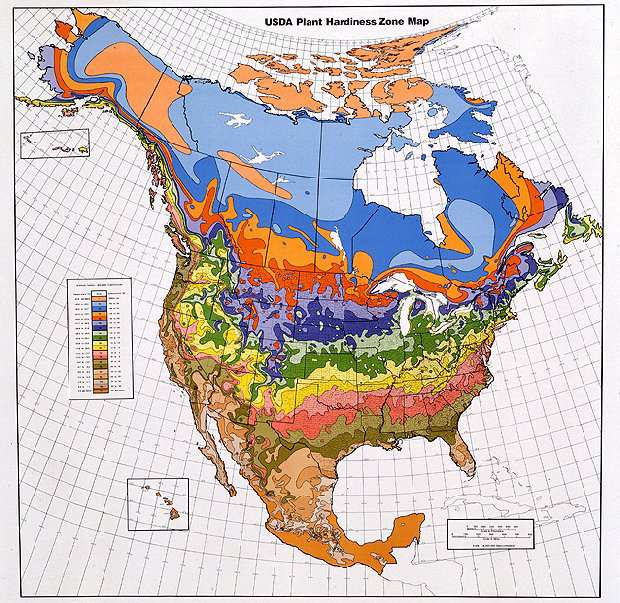 20-11-2013 USDA winterhardheidssysteem Ontwikkeld in 1965 en ge-update in 1990 Door United States Department of Agriculture Aangepast voor Europa in 1984