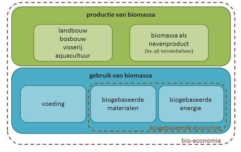 CHEMIE en Bio-Economie: dimensies Mina-raad Advies