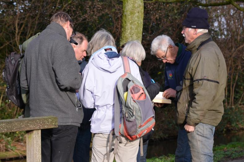 Eindejaars Plantenjacht 2015 FLORON (Stichting Floristisch Onderzoek Nederland) organiseerde in 2015 voor de tweede maal de Eindejaars Plantenjacht.