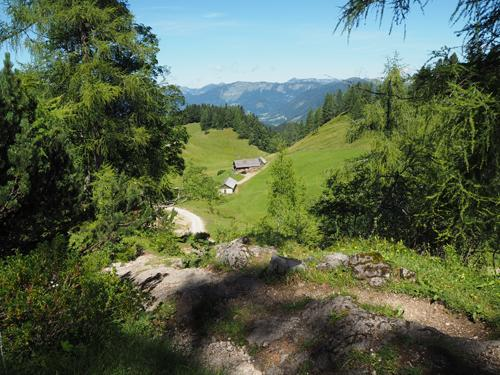 Het gaat dan alsmaar omlaag waarbij het pad zigzag over de skihelling gaat en langs enkele stukjes bos naar onze volgende bestemming de Zwieselalmhütte.