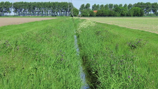 Wat kunnen agrariërs doen?