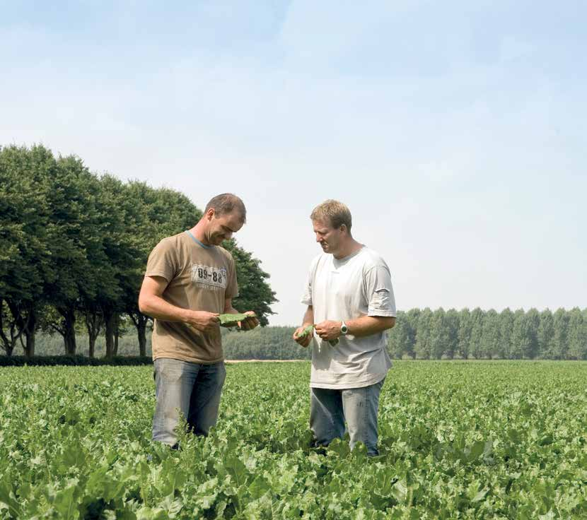 Personeel Agrarische bedrijven worden groter en steeds meer bedrijven hebben daardoor personeel. Personeel brengt extra verantwoordelijkheden en risico s met zich mee.